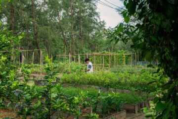 Garden-Local Sourcing
