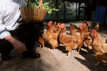 Garden-Local Sourcing